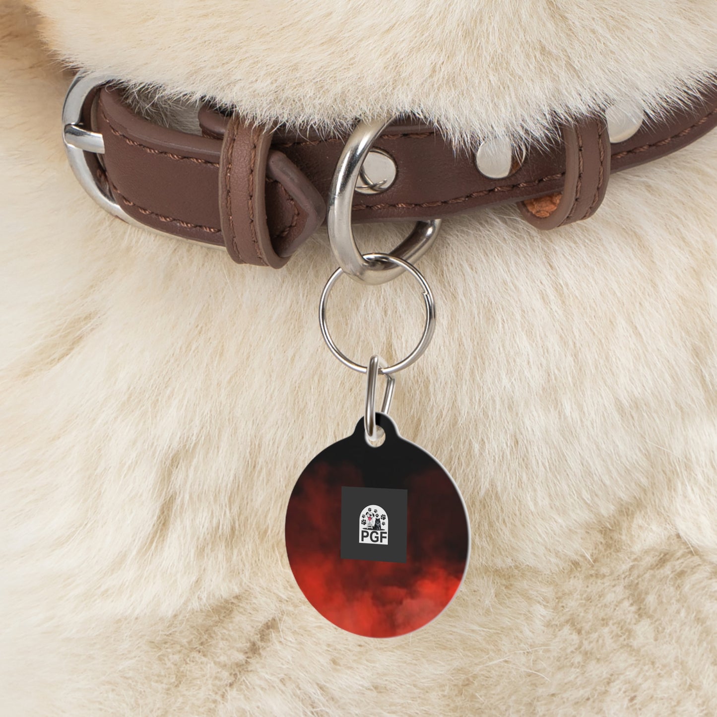 Pet Tag