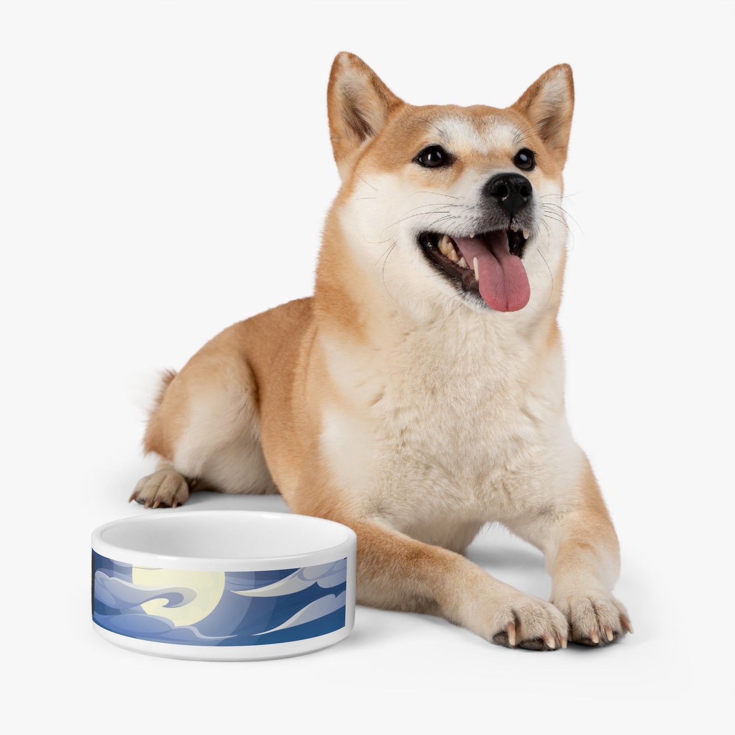 Pet Bowl