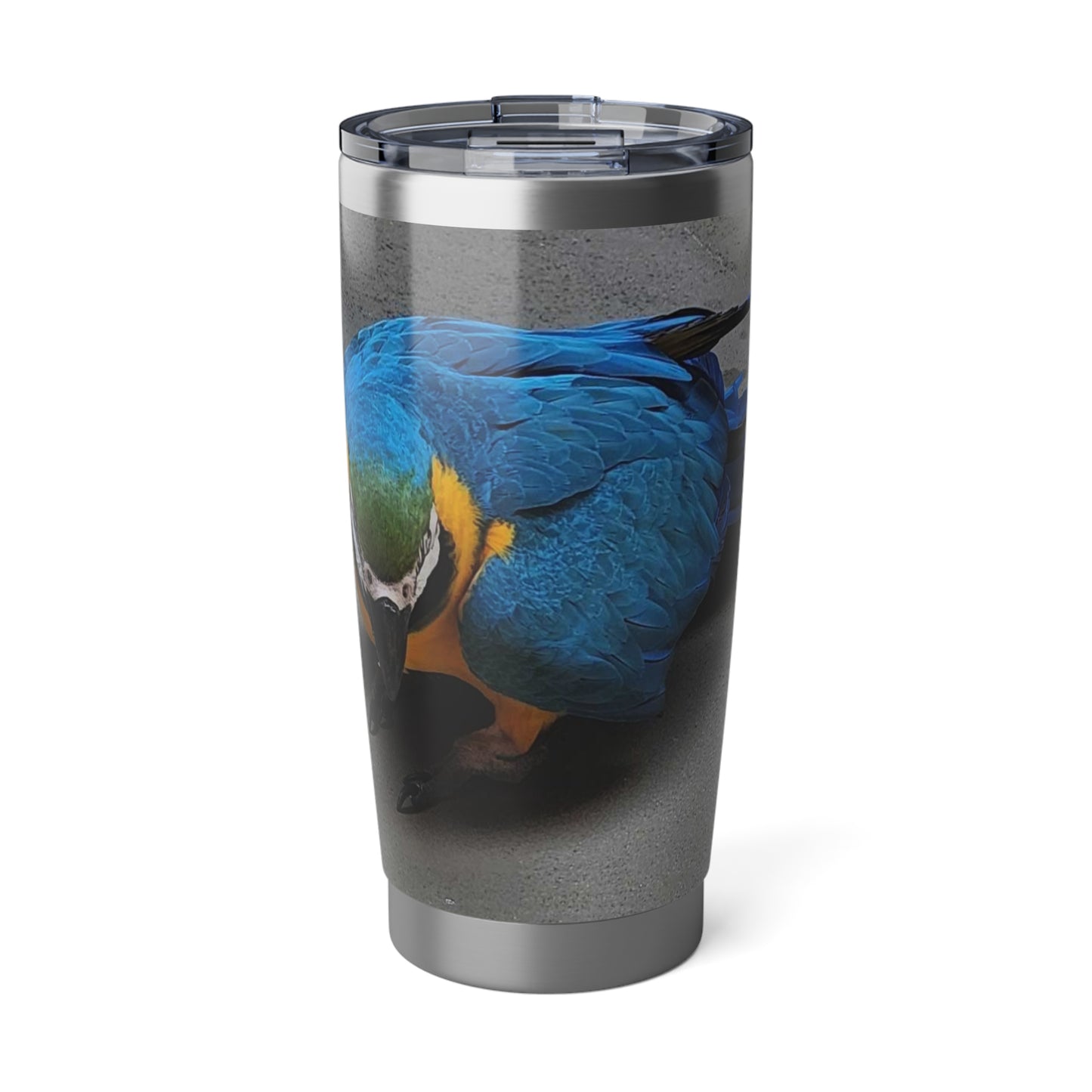 Vagabond 20oz Tumbler