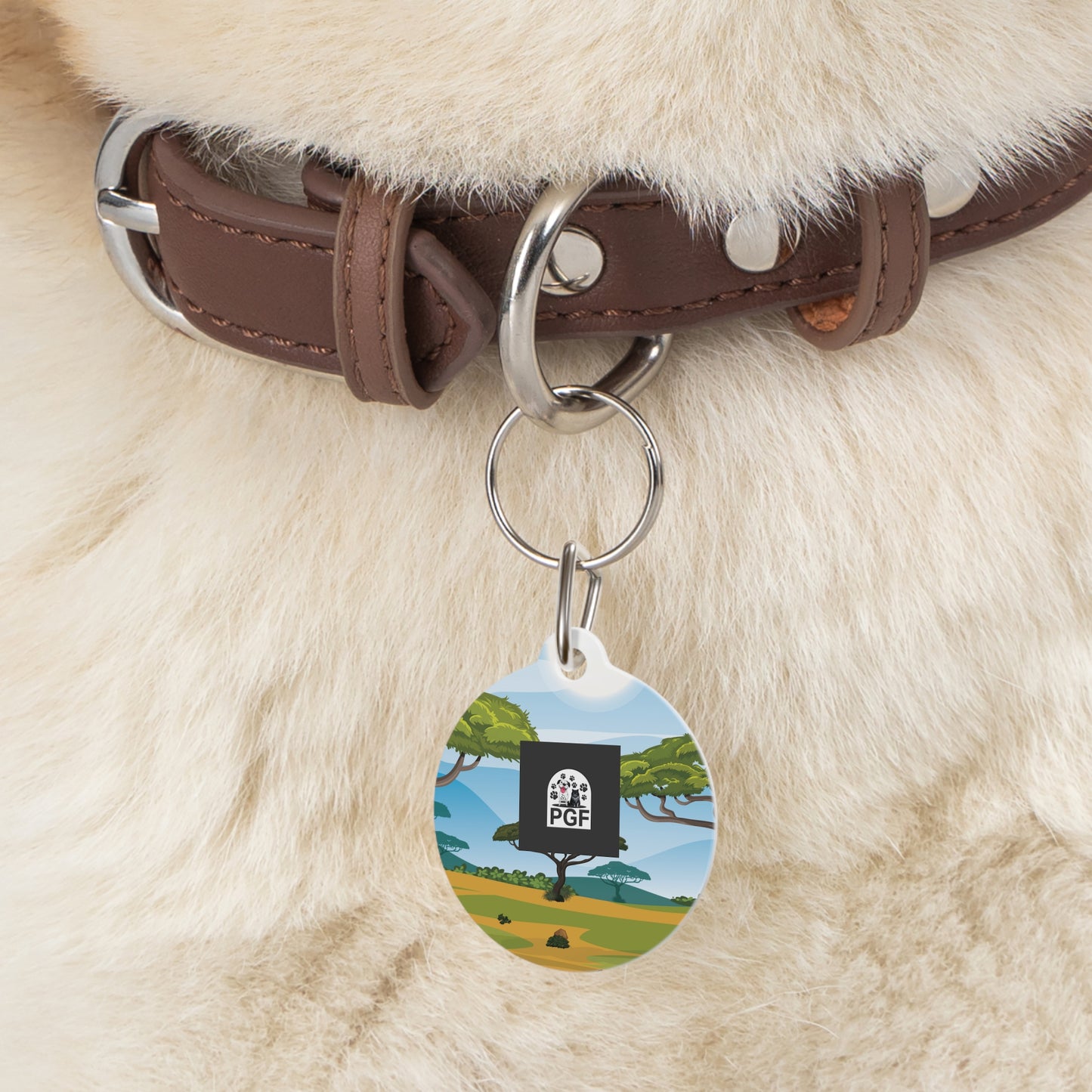 Pet Tag