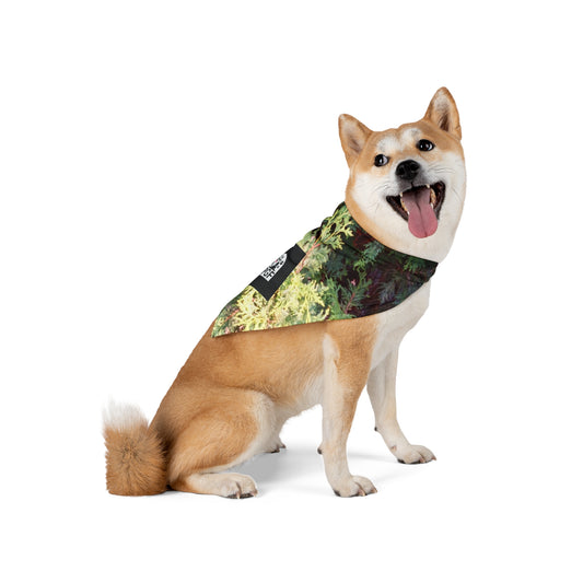 Pet Bandana