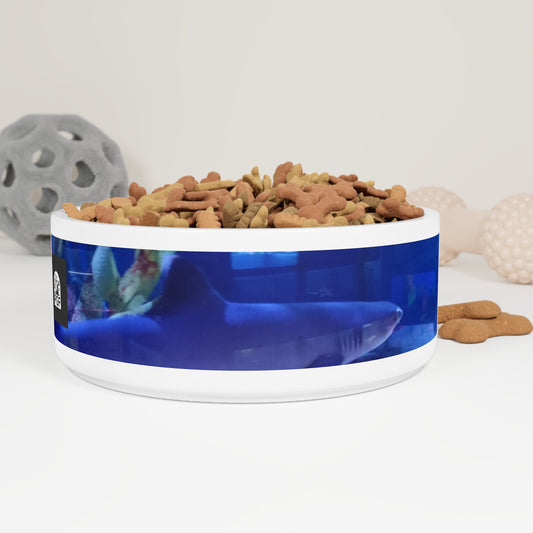 Pet Bowl