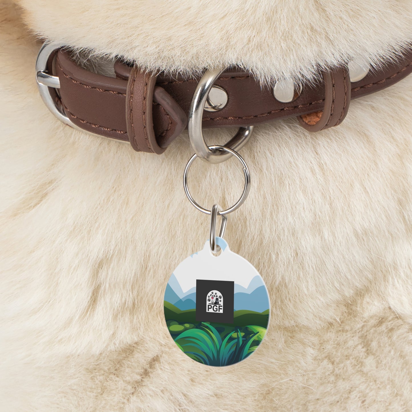 Pet Tag