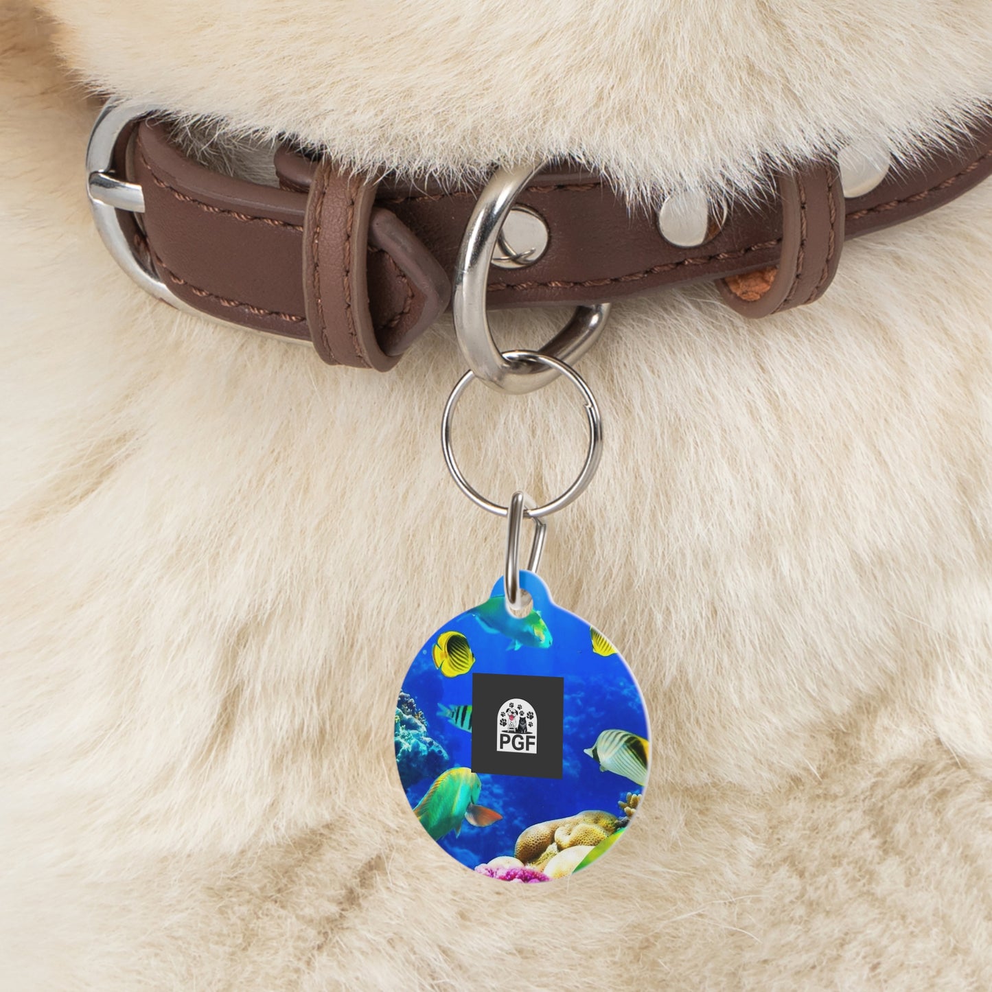 Pet Tag