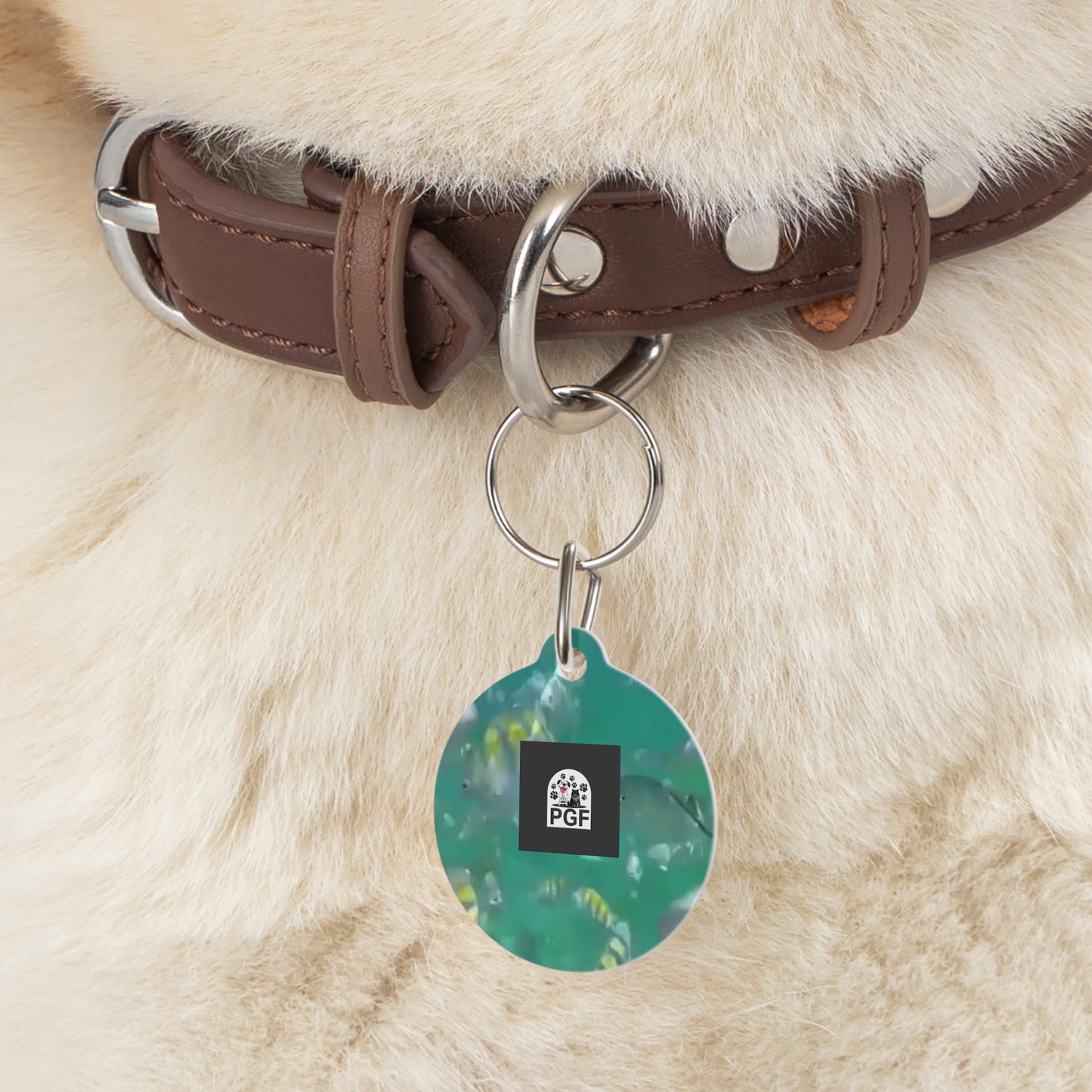 Pet Tag